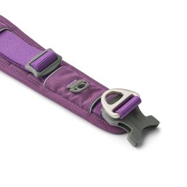 Dog Copenhagen Urban Explorer V3 Halsband Purple Passion 2