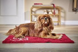 Cleankeeper Doormat beige 2