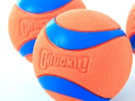 Chuckit Ultra Ball Gr. M 2er Set 2