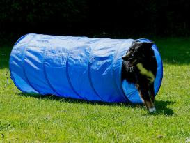 Dog Agility Tunnel 152 cm x 60 cm blau 2