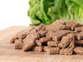 Naturavetal Canis Plus Lachs Welpen größere Pellets 2