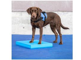 FitPAWS® Balance Pad 2