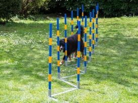 Hundesport Profi Agility Slalom 2