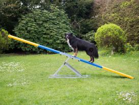 Hunde Profi Agility Turnier Wippe FCI konform 2