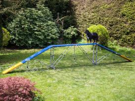 Hundesport Profi Agility Laufsteg 2