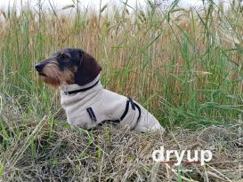 Dryup Cape Hundebademantel Dackel spezial sand 2