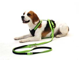 Wolters Hundegeschirr Professional Comfort kiwi 2