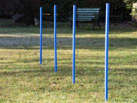 Dog Agility Trainings Set 1 2