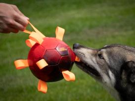 Dog Comets Hypernova Spielball für Hunde grün 2