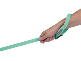 Ruffwear Flagline™ Hundeleine Sage Green 2