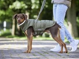 Wolters Steppjacke Cosy warmer Hundemantel braun 2