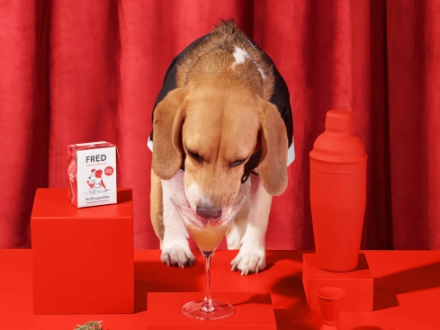 FRED Dog Drink "Wuffmopolitan" Cocktail für Hunde