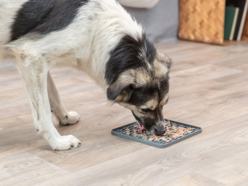 Lick’n'Snack Schleckmatte für Hunde