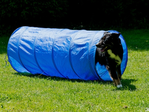 Dog Agility Tunnel 152 cm x 60 cm blau