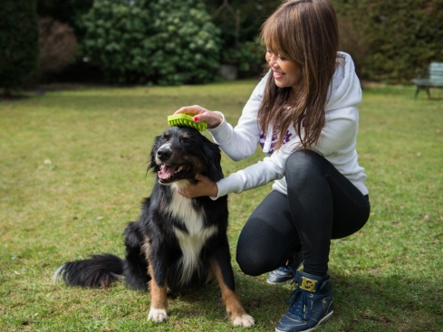 Magic Hundehaarbürste 4 in1