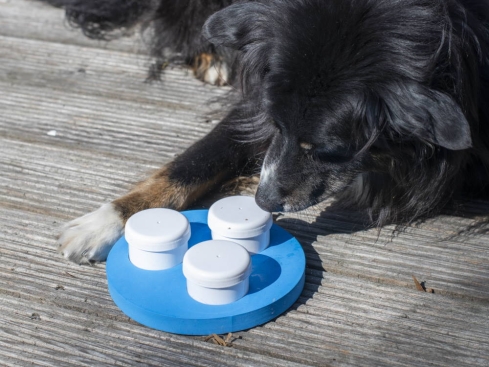 Sniffel Ring Schnüffelspaß für Hunde