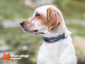 Non-Stop Dogwear Hundehalsband Roam Collar blau 3