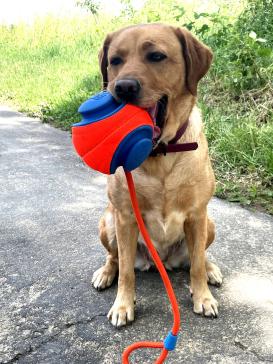 Chuckit Rope Fetch großer Spielball für Hunde 3