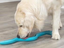 Snack Snake Hundespielzeug XXL petrol 3