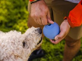 Ruffwear Huckama™ Wurfspielzeug für Hunde 3