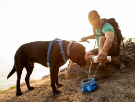 Ruffwear Quencher™ Faltnapf Hundenapf Coastal Mountains 3