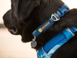 Ruffwear Front Range™ 3.0 Hundehalsband Coastal Fade 3