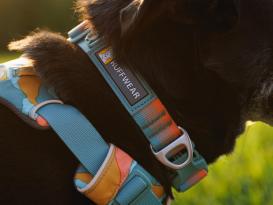 Ruffwear Front Range™ 3.0 Hundehalsband Spring Fade 3