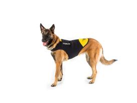 Julius K-9 IDC® Neopren Hundemantel 3