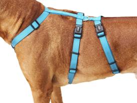 Wolters No Escape Soft & Safe Hundegeschirr aqua 3