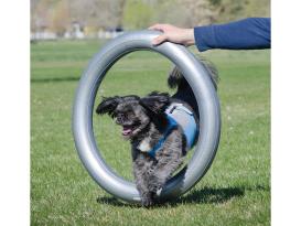 FitPAWS® Donut Holder 3