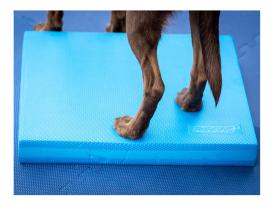 FitPAWS® Balance Pad 3