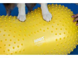 FitPAWS® Peanut Trax rot 50 cm 3