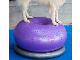 FitPAWS® TRAX Donut 3