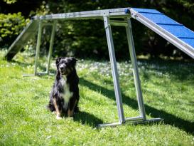 Hunde Profi Agility ALU Laufsteg FCI konform 3