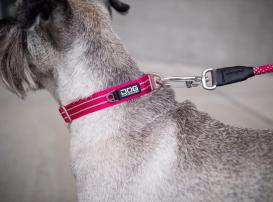 Dog Copenhagen Urban Style V2 Halsband Black 3