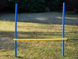 Dog Agility Trainings Set 1 3