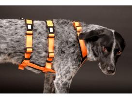 Style Snout Sicherheitsgeschirr Patch & Safe Neon-Orange-Black 3