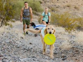 Ruffwear Camp Flyer Hunde-Frisbeescheibe Lichen Green 3