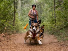 Ruffwear Gourdo™ Hundespielzeug Campfire Orange 3