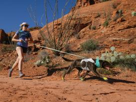 Ruffwear Swamp Cooler kühlendes Halstuch Aurora Teal/ Heliotrope Purple 3