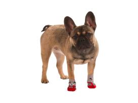 Hundesocken Bruno für kleine Hunde 3