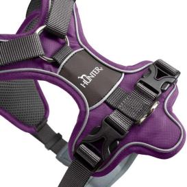 Hunter Hundegeschirr Divo violett/grau 3