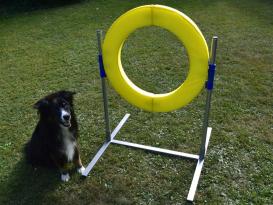 Hunde Profi Agility ALU Sprungring FCI-konform 3