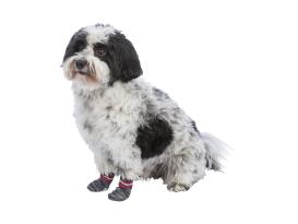 Hundesocken Anti-Rutsch 3