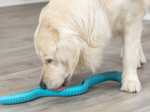 Snack Snake Hundespielzeug XXL petrol