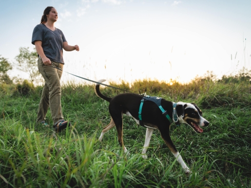 Ruffwear Hi & Light™ leichtes Hundehalsband Basalt Gray