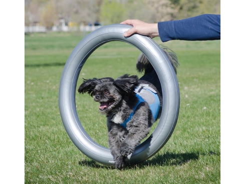 FitPAWS® Donut Holder