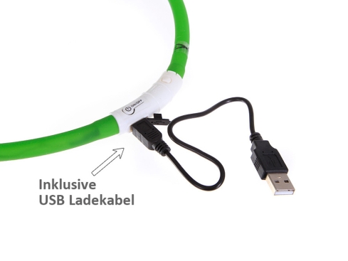 Leuchthalsband USB Flash grün