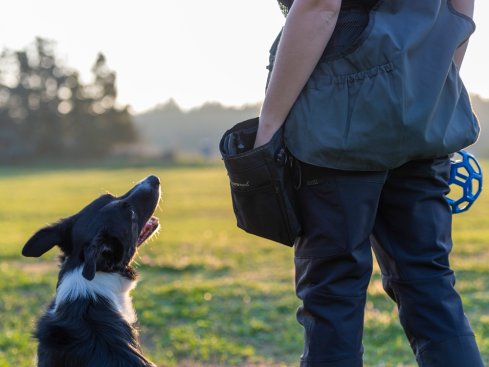 Pinewood® Dog Sports Bag small