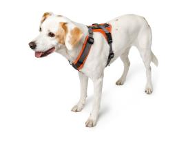 Hunter Hundegeschirr Maldon orange/grau 4